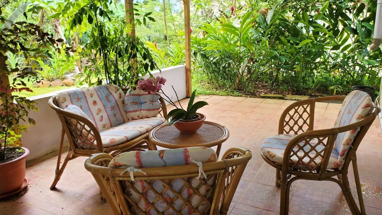 Appartement Charmant A Sainte Rose 70M² Avec Terrasse location